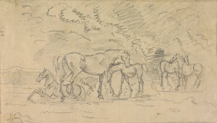 Horses in a Meadow