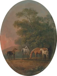 Mares and Foals