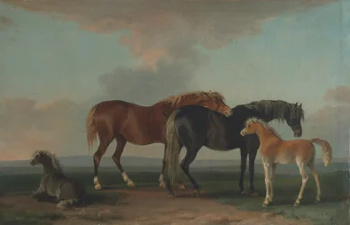 Mares and Foals, Facing Right