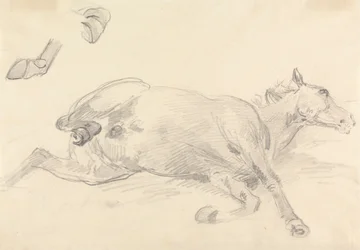 Study of a Horse Lying Down