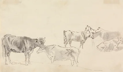 Study of cattle with horses in the background