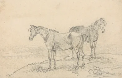 Two Horses