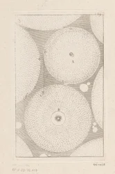 Interaction Between Different Orbits of Celestial Bodies