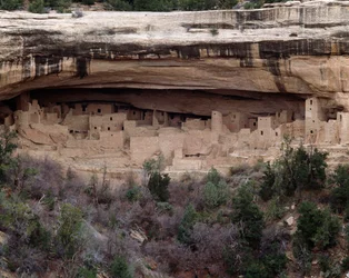 View of the Cliff Palace Site