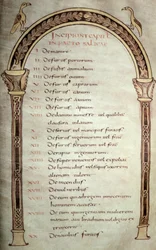 Manuscript of Salic Law