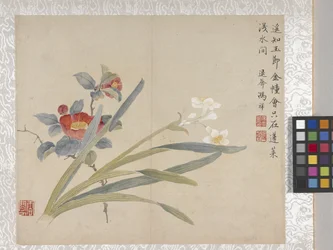 8 Leaf Album of Flowers, mid 1700s