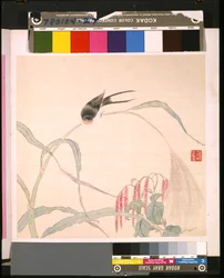 Album Of Flowers And Birds