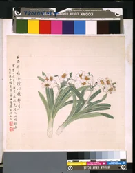 Album of Flowers and Birds
