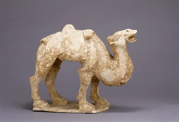 Camel, Possibly 7th Century