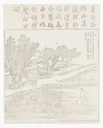 Tilling Rice Paddy in Dry Weather