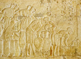 Ancient Egypt, Wall carving, Tomb of Petosiris, 300 BC, Tuna el-Gebel, Collecting and bottling the wine