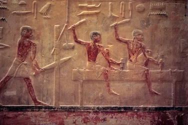Ancient Egypt, Wall carving/painting, Mastaba/Tomb of Ti, Saqqara, 5th Dynasty, Carpenters sawing and hammering, Shaping beam