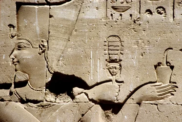 Wall painting/carving, The pharaoh Ptolemy shaking a systrum and offering incense, Temple of Horus, Edfu
