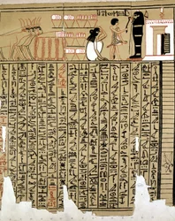 Egyptian Hieroglyphs