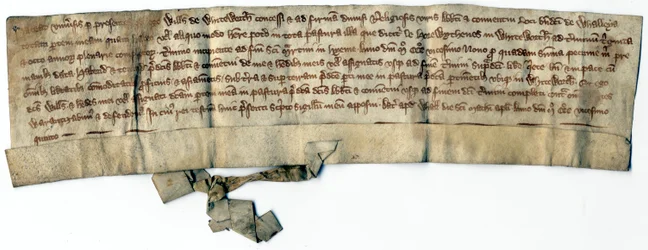 Medieval Deeds