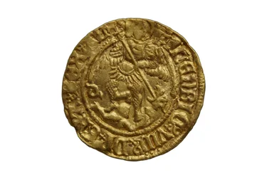 Tudor coin from the Asthall Hoard