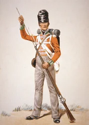 Wellington
