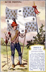The banner of the Musketeers of Charles IX
