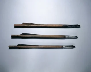 Crossbow Bolts