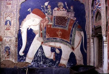 Elephant