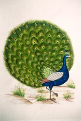Miniature Painting on Silk: Peacock