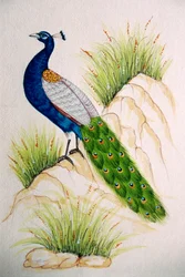 Miniature Painting on Silk: Peacock