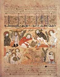 Illustration from the 