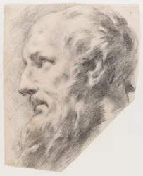 Profile Head