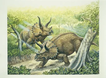 Triceratops horridus, Cretaceous period