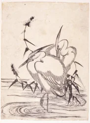 Two Herons