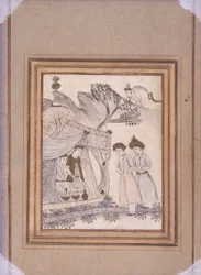 Book Illustration