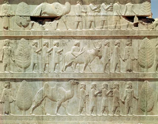 Detail of the relief frieze on the East stairway to the Apadana depicting delegates from the subject lands of the empire bearing lavish gifts for a ceremony, Achaemenian period