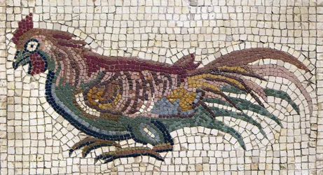 Multicolored rooster from the ground of a Roman villa in Tunisia (mosaic)