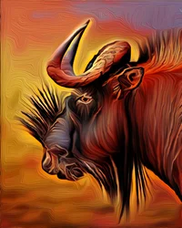 Black Wildebeest, 2021