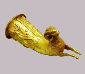 Rhyton Drinking Horn