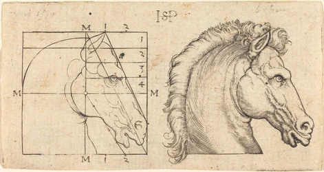 Two Horse Heads