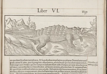 Cosmographia, Fol 1137, 1544