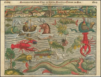 Sea Wonders and Strange Animals Found in the Northern Lands in the Sea and on the Land