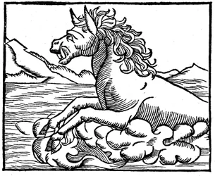Sea Monster