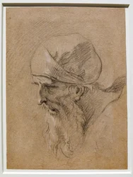 Head of an Old Man