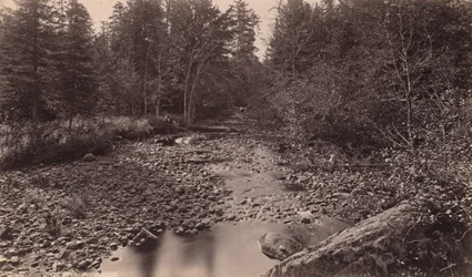 Marion River at Bassett