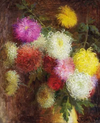 Chrysanthemums