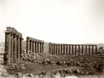 The oval columned piazza from the north west, Jerash, 1867