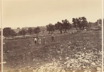 General View of the City from the North