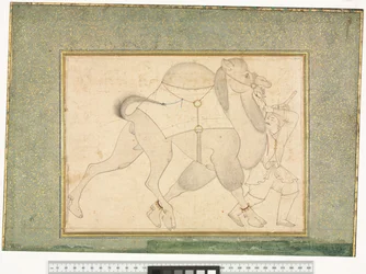 Camel and Groom
