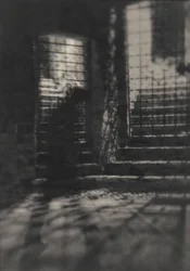 Mysterious Gated Stairs