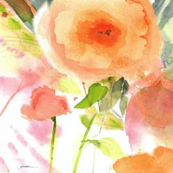 Soft Peach Blooms