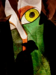 Mosaic Eye and Shadow