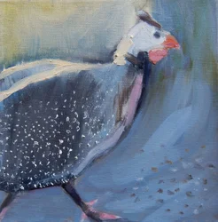 Guinea Fowl Four