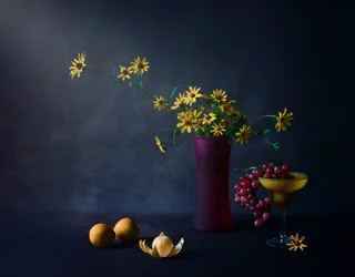 Moody Flowers and Fruit